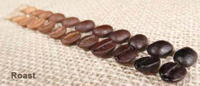 焙煎度合いによる珈琲豆の色の違い